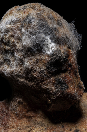 Golem