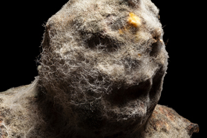 Hirsute 2