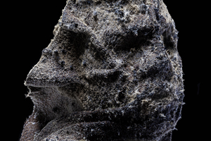 Janus